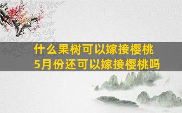 什么果树可以嫁接樱桃 5月份还可以嫁接樱桃吗